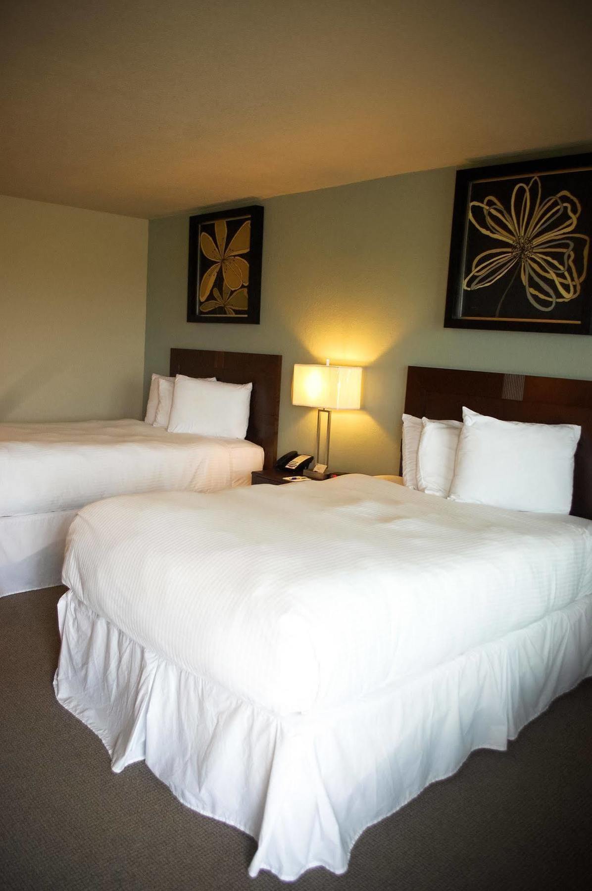 Unique Suites Hotel Charleston Екстериор снимка